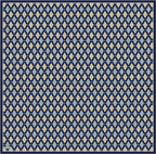 Belli 2026 - 2027 Sonbahar Kış Twill İpek Eşarp 4408D 81